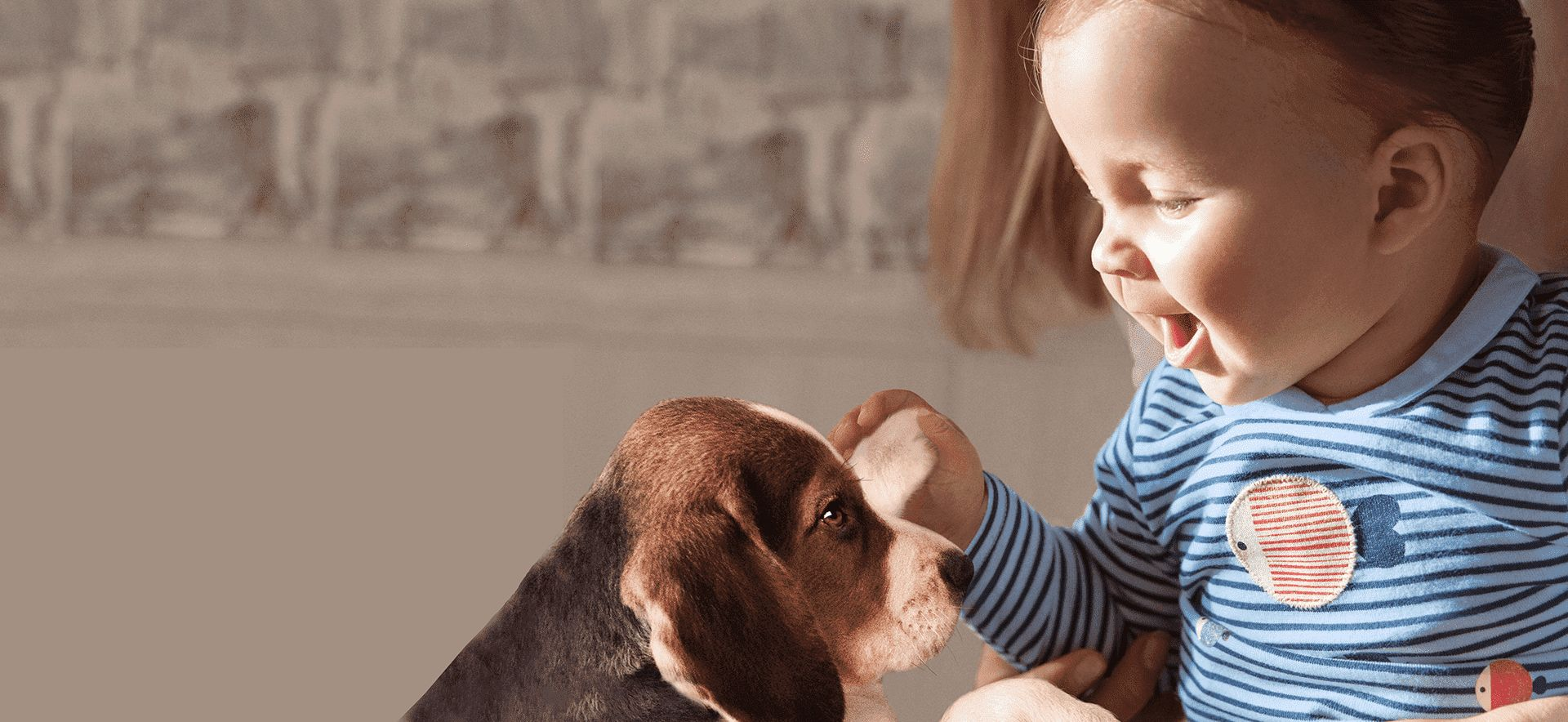 Bebé sujetandole la pata a un cachorro